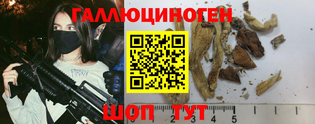 Городец  Галлюциногенные грибы Psilocybe  Вход с VPN  Псилоцибиновые грибы Psilocybine cubensis 